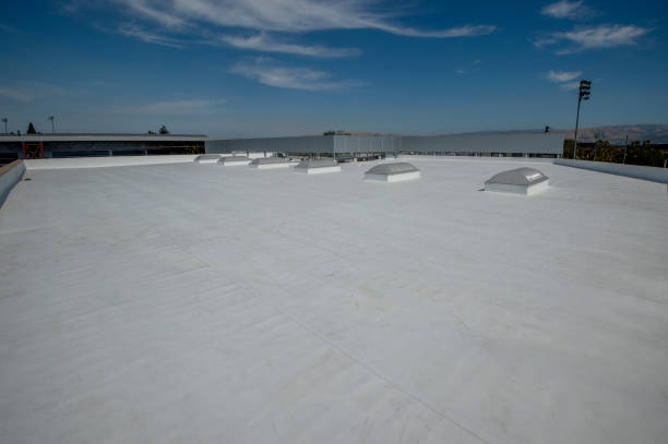 Best Roof Maintenance and Cleaning  in Walnut Creek, NC